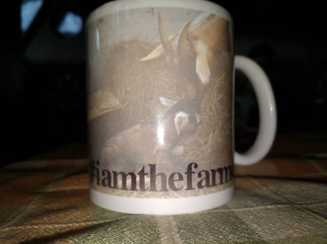 I am the farmer mug